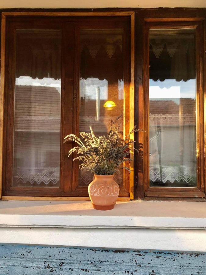 Bodrogparti Vendeghaz Sarazsadany Ξενοδοχείο Εξωτερικό φωτογραφία