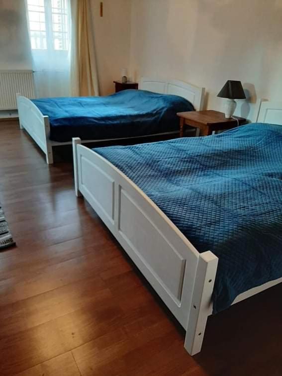 Bodrogparti Vendeghaz Sarazsadany Ξενοδοχείο Εξωτερικό φωτογραφία