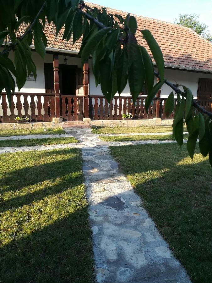 Bodrogparti Vendeghaz Sarazsadany Ξενοδοχείο Εξωτερικό φωτογραφία