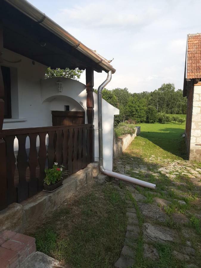 Bodrogparti Vendeghaz Sarazsadany Ξενοδοχείο Εξωτερικό φωτογραφία